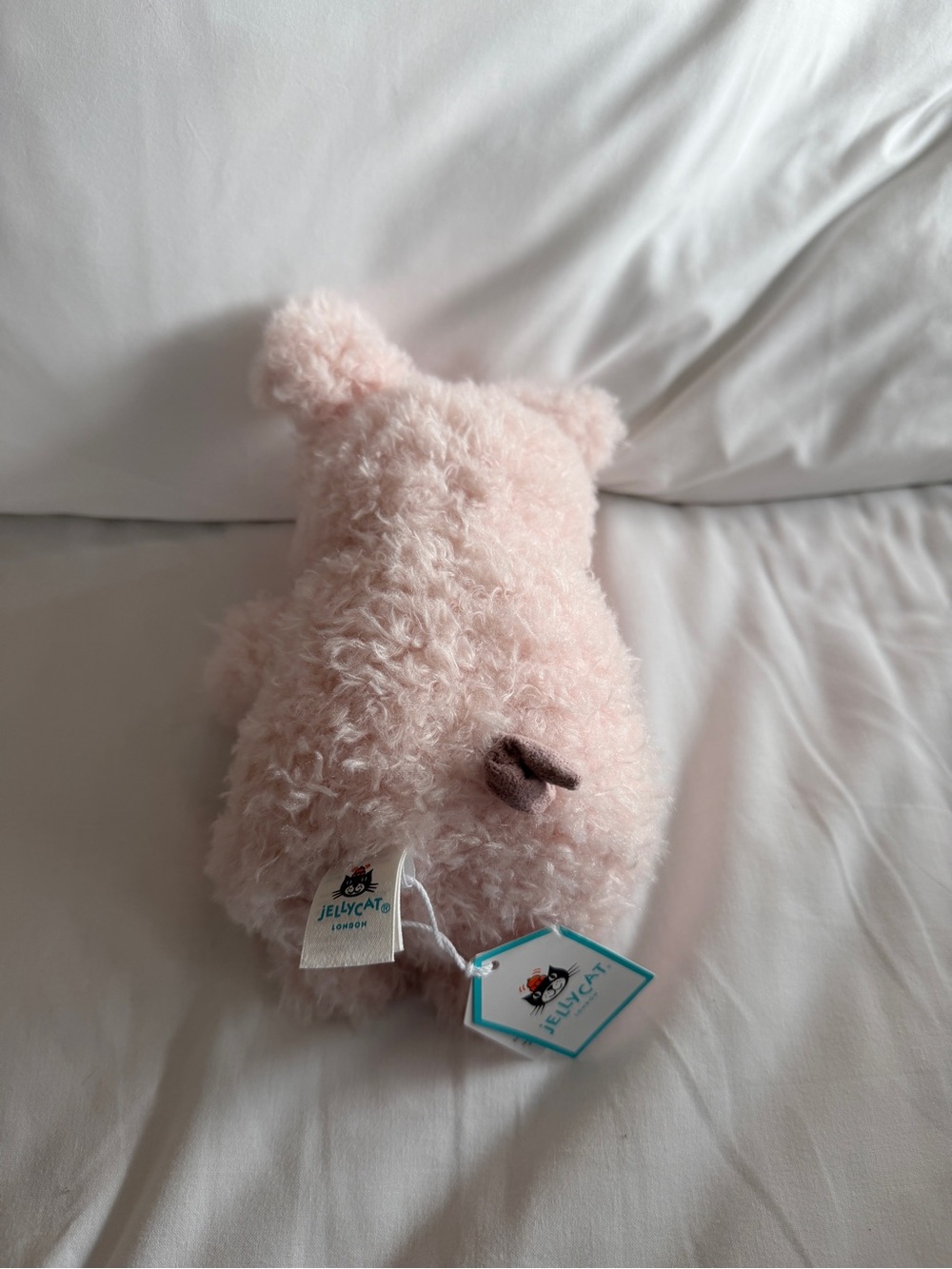 Little Pig - Picture 3 of 5